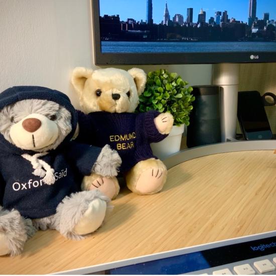 Two University of Oxford branded teddy bears next to each other on a desk.