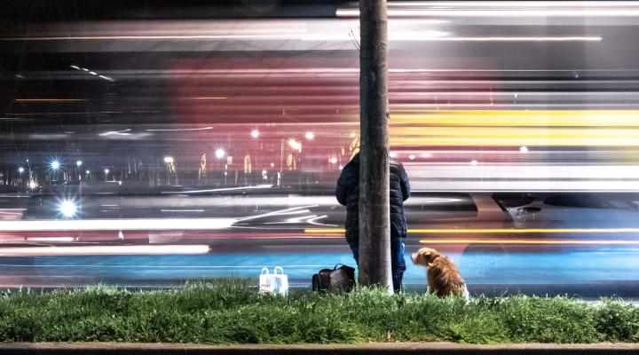 A man with a dog staring at the blur of city lights. He wonders where it all went wrong. 