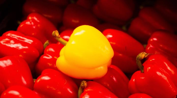 red and yellow capsicums